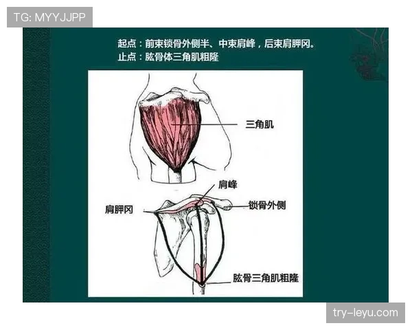 吴柳芳这训练强度，一天三练还啃鸡胸肉，真不怕把自己练没电了？
