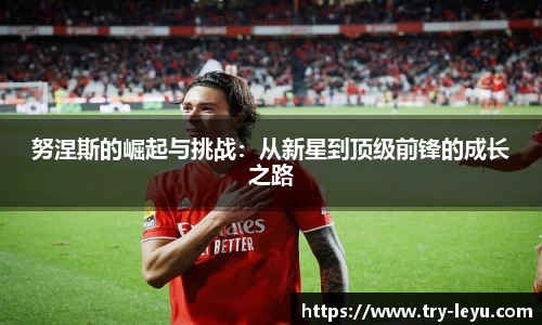 努涅斯的崛起与挑战：从新星到顶级前锋的成长之路