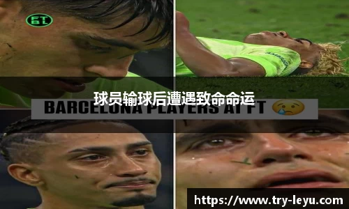 乐鱼体育平台